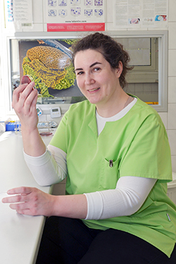 leistungen klinik untersuchung 02