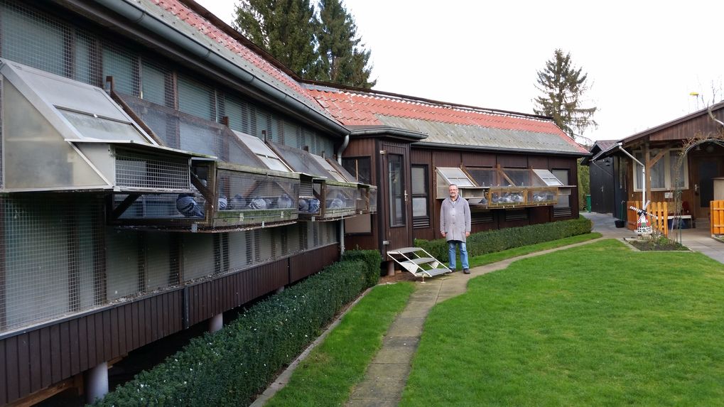 Bilder-Willi-Werner--Schlaganlage-5
